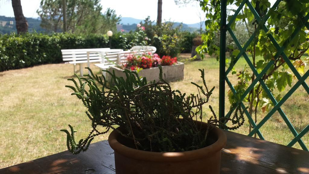 Agriturismo Il Catrino Ponteginori エクステリア 写真