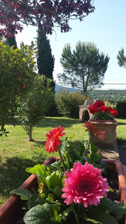 Agriturismo Il Catrino Ponteginori エクステリア 写真