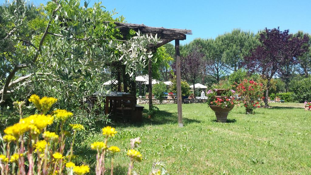 Agriturismo Il Catrino Ponteginori エクステリア 写真