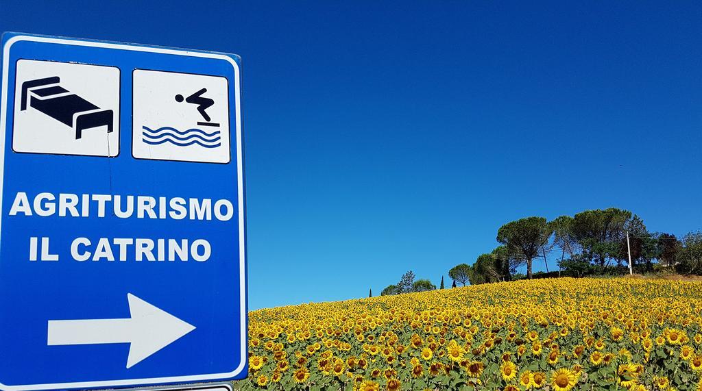Agriturismo Il Catrino Ponteginori エクステリア 写真