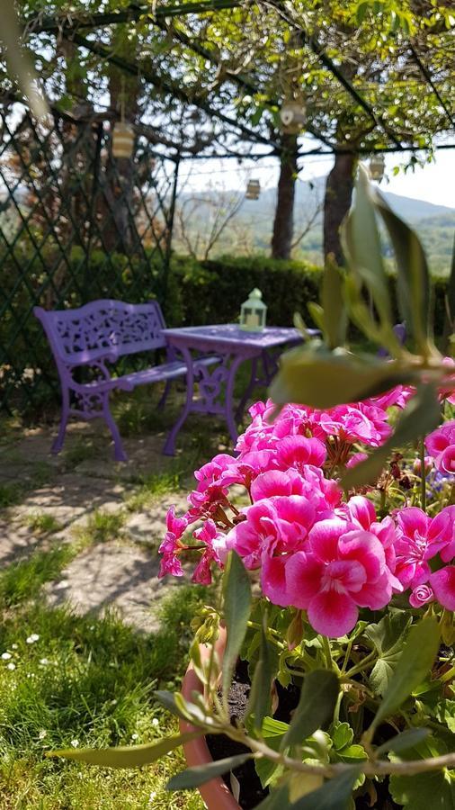 Agriturismo Il Catrino Ponteginori エクステリア 写真
