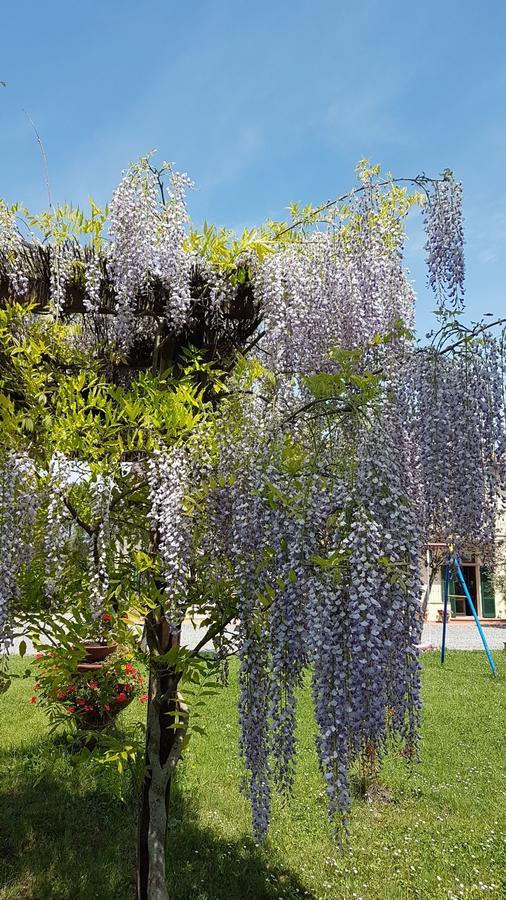 Agriturismo Il Catrino Ponteginori エクステリア 写真