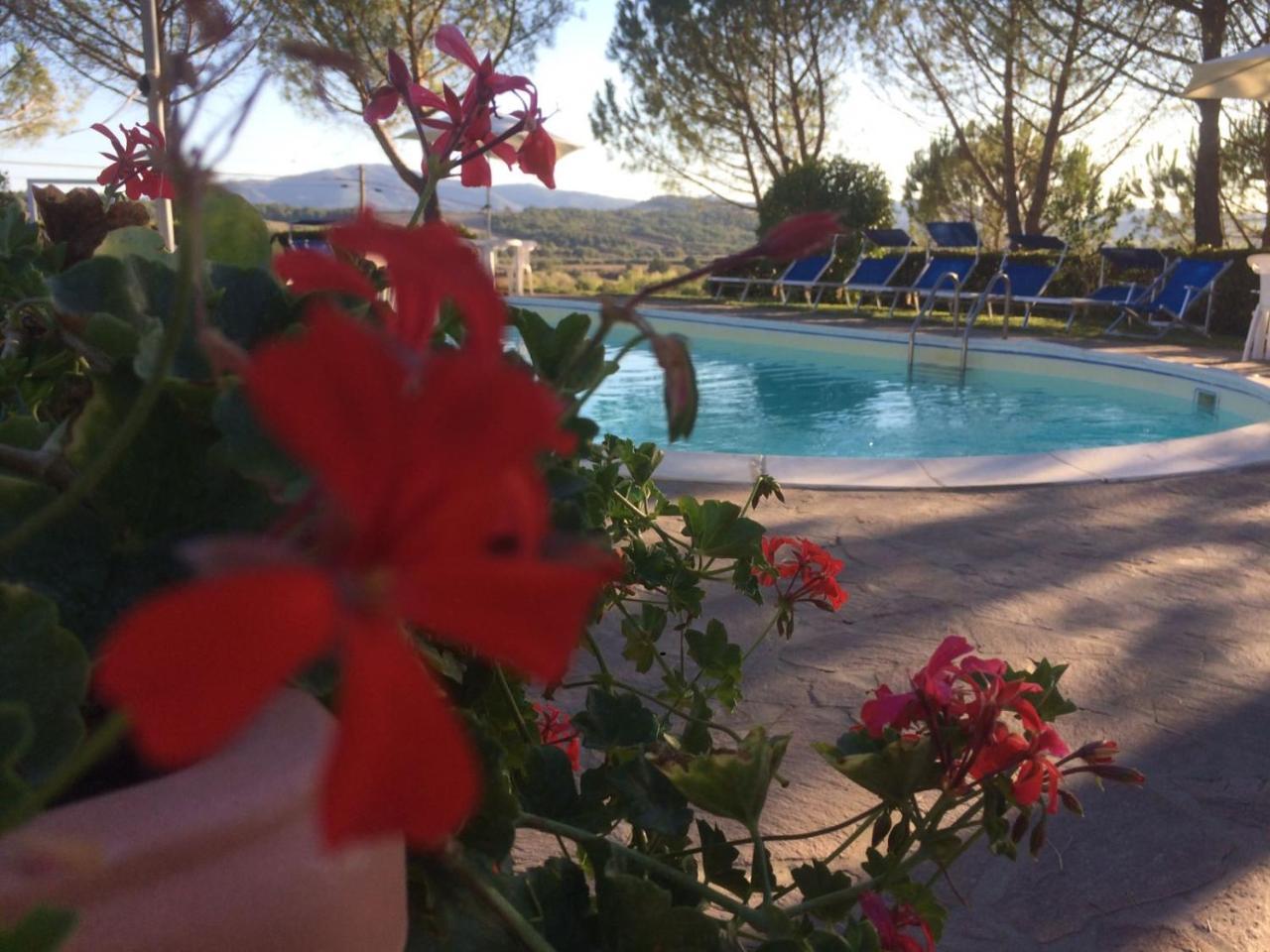 Agriturismo Il Catrino Ponteginori エクステリア 写真